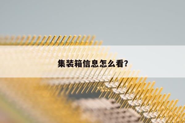 集装箱信息怎么看？