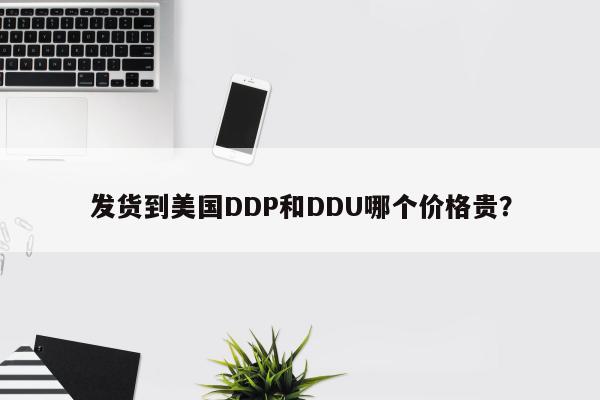 发货到美国DDP和DDU哪个价格贵？