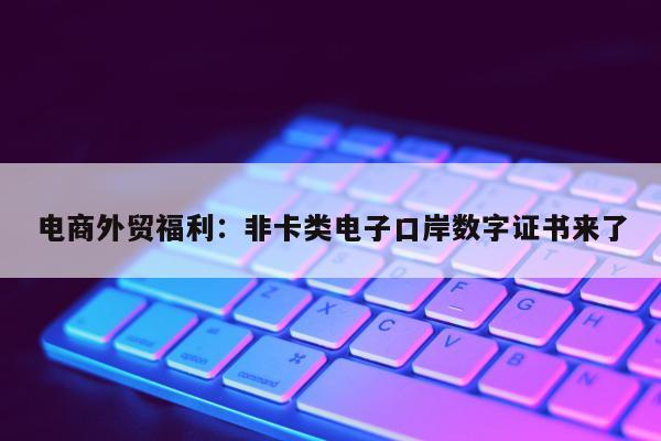 电商外贸福利：非卡类电子口岸数字证书来了