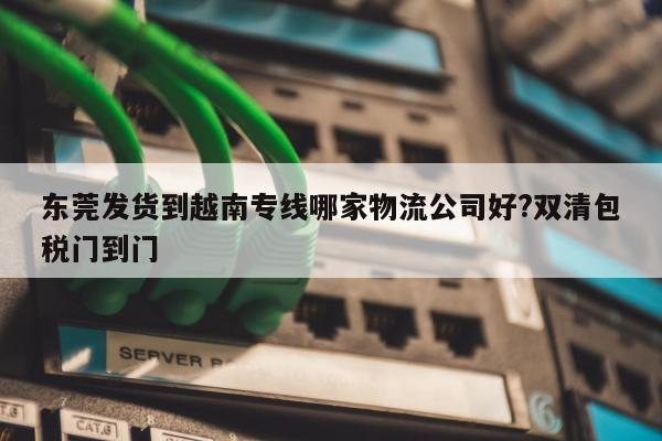 东莞发货到越南专线哪家物流公司好?双清包税门到门