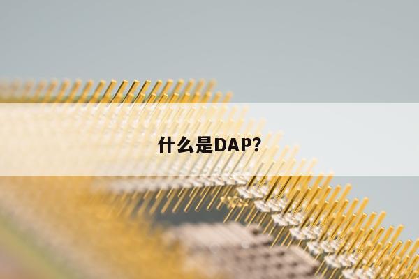 什么是DAP？