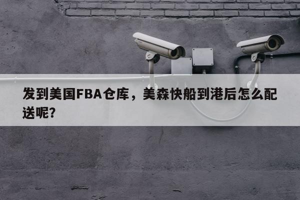 发到美国FBA仓库，美森快船到港后怎么配送呢？