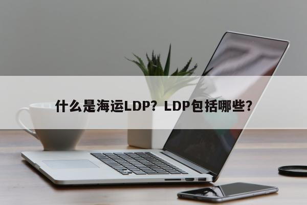 什么是海运LDP？LDP包括哪些？