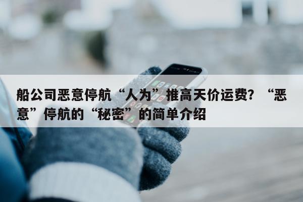 船公司恶意停航“人为”推高天价运费？“恶意”停航的“秘密”的简单介绍