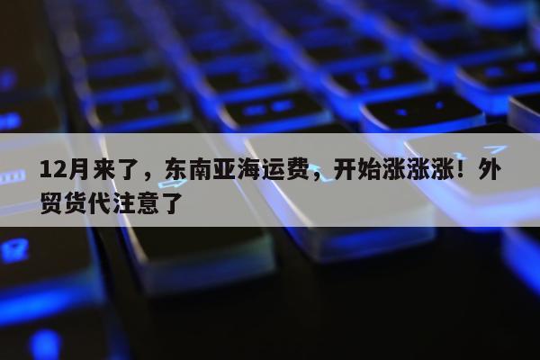 12月来了，东南亚海运费，开始涨涨涨！外贸货代注意了