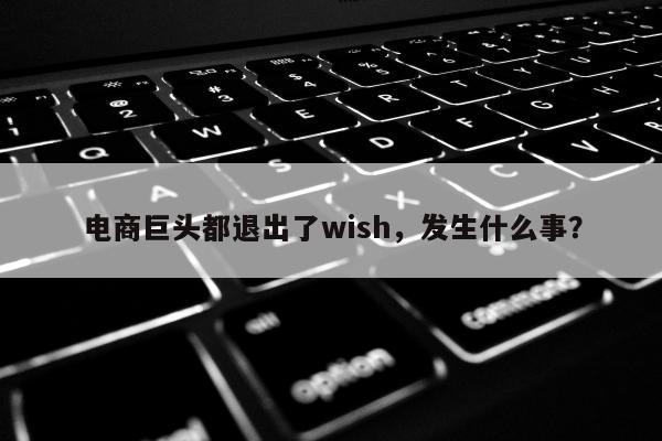 电商巨头都退出了wish，发生什么事？