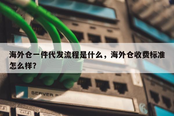 海外仓一件代发流程是什么，海外仓收费标准怎么样？