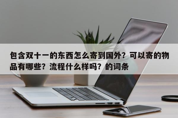 包含双十一的东西怎么寄到国外？可以寄的物品有哪些？流程什么样吗？的词条