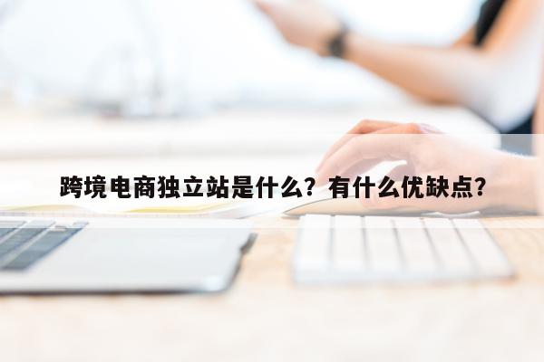 跨境电商独立站是什么？有什么优缺点？