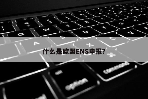 什么是欧盟ENS申报？