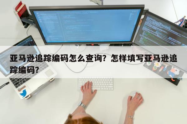 亚马逊追踪编码怎么查询？怎样填写亚马逊追踪编码？